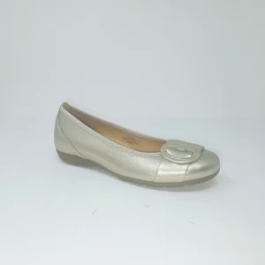 64163 Cuir Poudre