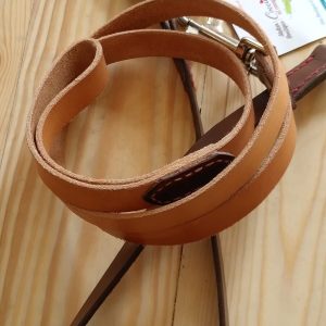 Laisse en cuir pour chien