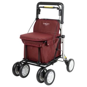 Chariot de course Lett 900