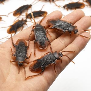 Lot de Cafards, Blattes en plastique – Farces, Déco Halloween