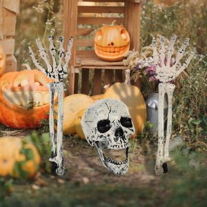 Squelette humain réaliste, Crâne et Avant-bras – Déco Halloween
