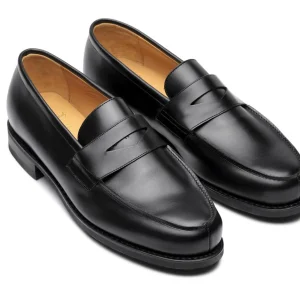 Adonis Noir 228112