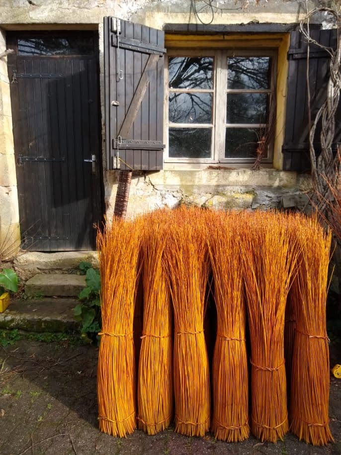 Crayons de couleurs artisanaux en saule des Landes – Image 2