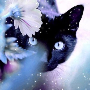 Broderie diamant Chat Noir yeux bleus – Kit diamond painting 5D