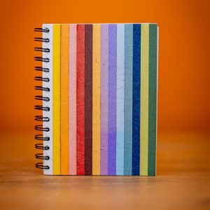 Carnet à spirale en crotte d’éléphant – motif arc-en-ciel
