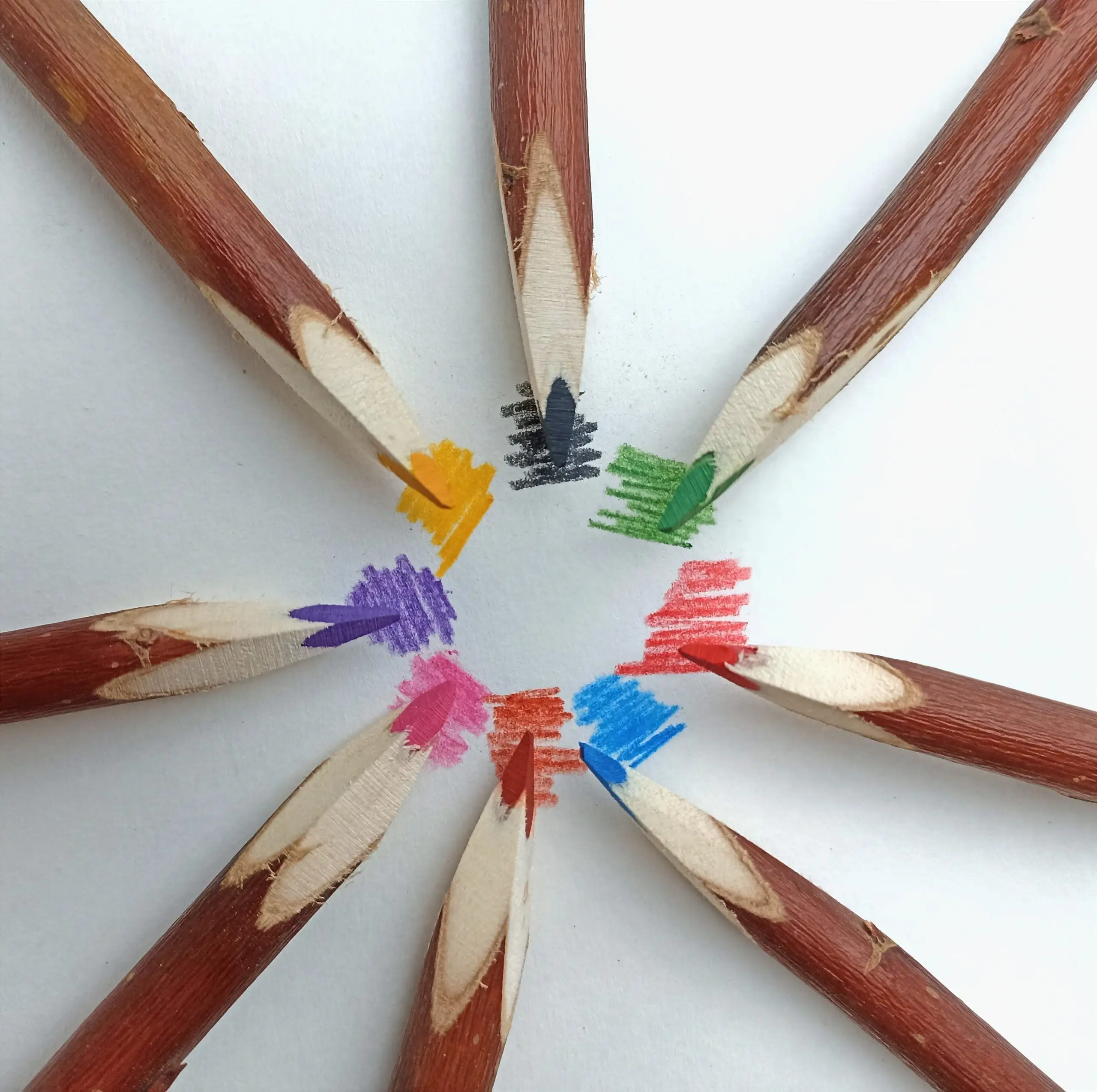 Crayons de couleurs artisanaux en saule des Landes – Image 3