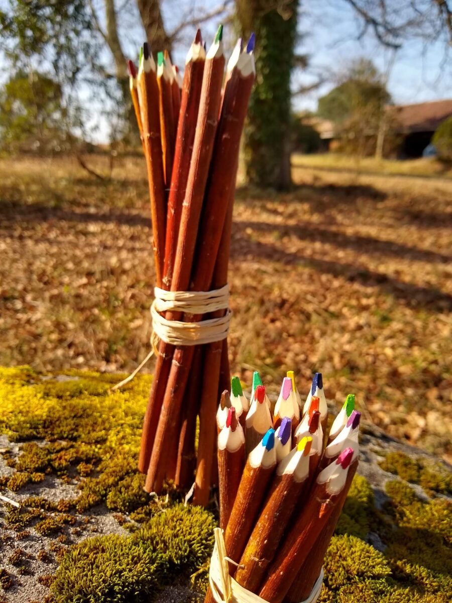 Crayons de couleurs artisanaux en saule des Landes – Image 5