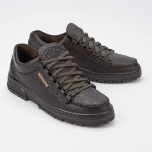 Cruiser Marron